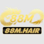 88M