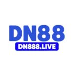 dn888live