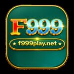 f999playnetbd