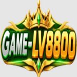LV8800 Game