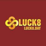 luck8day2