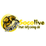 socolivetructiep2